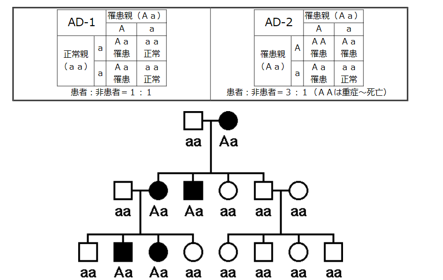 常染色体優性遺伝