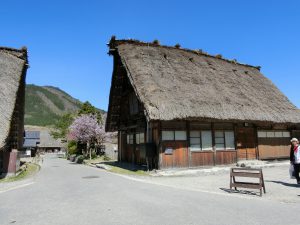 CIMG0964