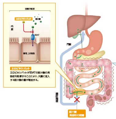 グーフィス 食後